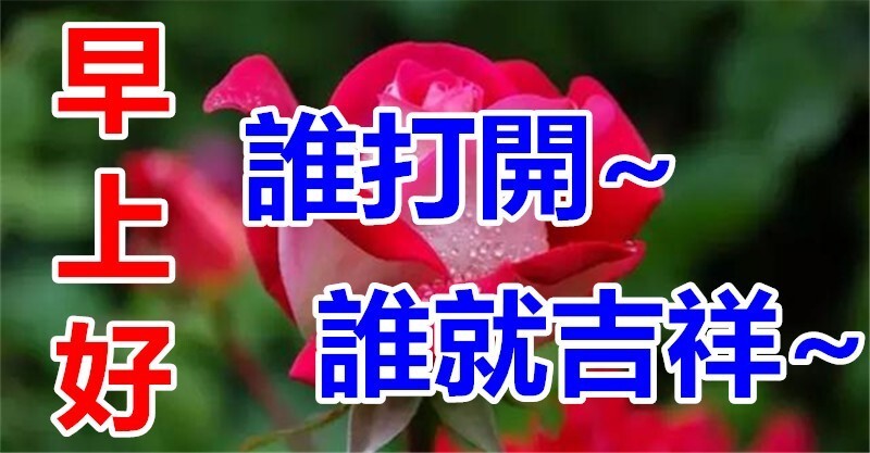 4月21日,早上好,谁打开谁吉祥